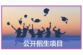 公开招生项目